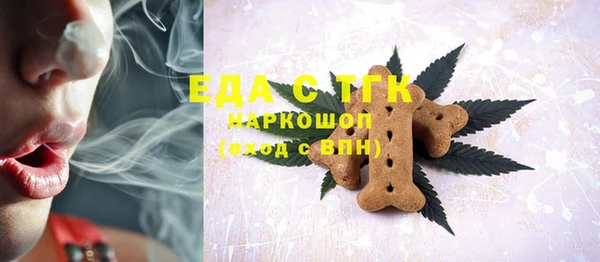 гидра Корсаков