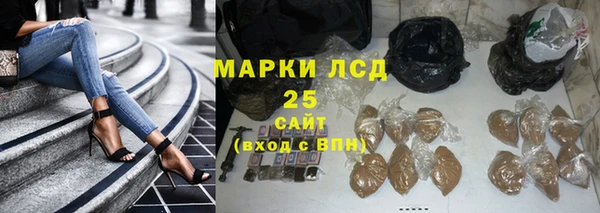 гидра Корсаков