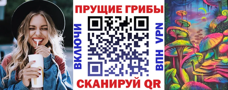 Псилоцибиновые грибы ЛСД Луга